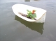 Good luck, little Salvia plant!  Live long and prosper!