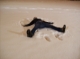 Team ShinyHappySleepy--Meridithian's snow angel