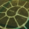 night 004.jpg