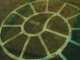 night 004.jpg
