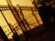 night 010.jpg