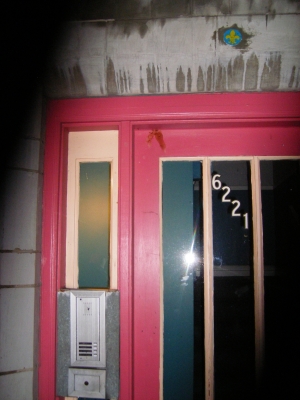 6221 Delmar, St. Louis