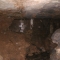 IMGP8224.JPG