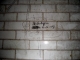 IMGP8103.JPG