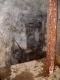 IMGP8155.JPG