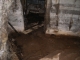 IMGP8156.JPG