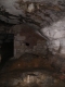 IMGP8175.JPG
