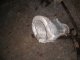 IMGP8178.JPG