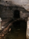 IMGP8191.JPG
