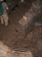 IMGP8203.JPG