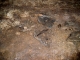 IMGP8207.JPG
