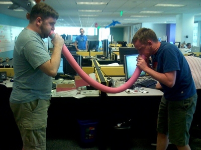 Pool Noodles. Pool Noodles.