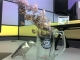 Dried Arrangements.