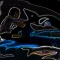 Crazy Whale Party