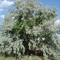 DSC00331.JPG