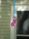 DSC00252.JPG