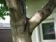 DSC00253.JPG