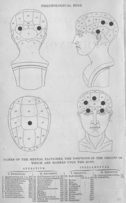 danphrenology.jpg