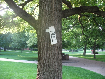 august 09 013.jpg