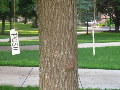august 09 023.jpg