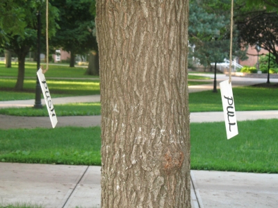 august 09 024.jpg
