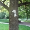august 09 013.jpg
