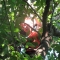 august 09 022.jpg