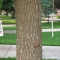 august 09 023.jpg