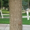 august 09 024.jpg