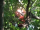 august 09 022.jpg
