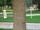 august 09 023.jpg