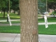 august 09 024.jpg