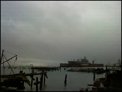 The Bay