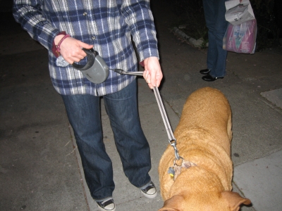 A non-human animal A non-human animal
