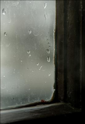 the rain
