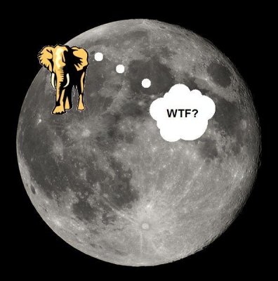 ELEPHANT MOON.jpg