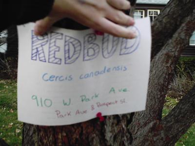 the sign