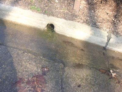 water 