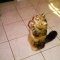 standing for string