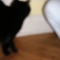 blurry