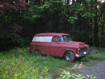 Nature.jpg