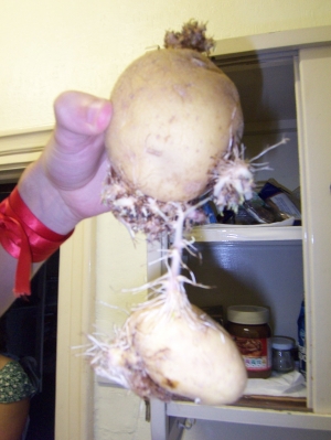 100_1698.JPG 100_1698.JPG