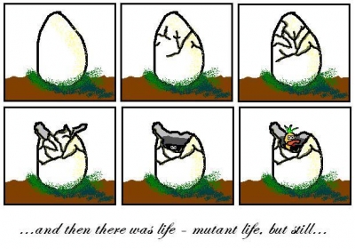 life!.JPG
