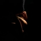 455016_smoking_nude.jpg 455016_smoking_nude.jpg