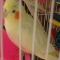 s7300305.jpg