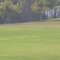 s7300310.jpg