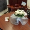 Potted Plant Distribution by Angel Mois, Xena Potted Plant Distribution by Angel Mois, Xena