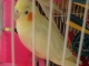s7300305.jpg