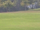 s7300310.jpg