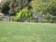 s7300321.jpg
